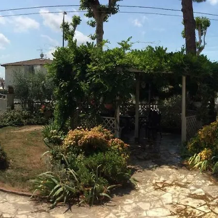 I Girasoli Di Migliarino *