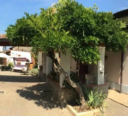 Guest house I Girasoli Di Migliarino *