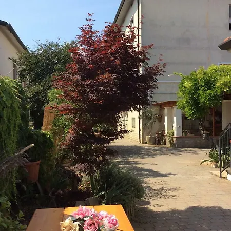 Guest house I Girasoli Di Migliarino Migliarino Pisano