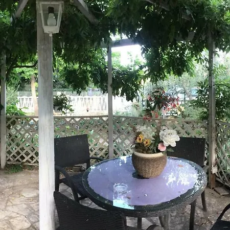 I Girasoli Di Migliarino * Migliarino Pisano