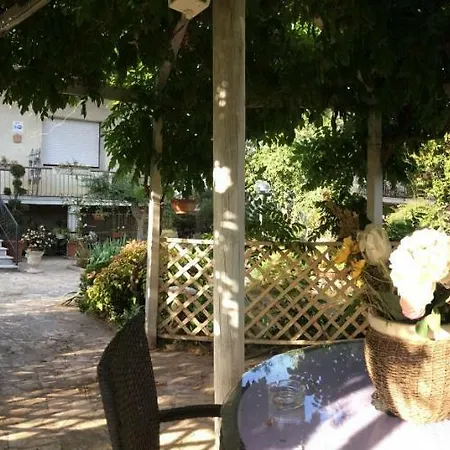 Guest house I Girasoli Di Migliarino *