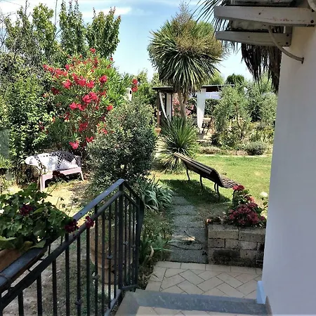 I Girasoli Di Migliarino Migliarino Pisano