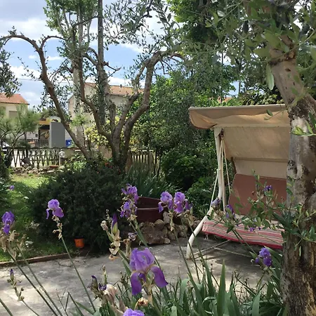 بيت ضيافة I Girasoli Di Migliarino Migliarino Pisano